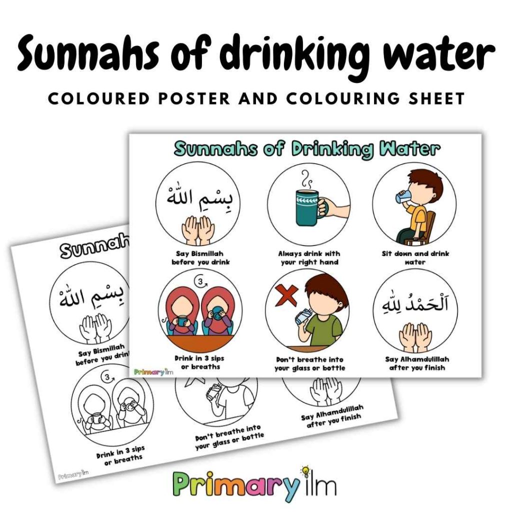 sunnahs of drinking water poster